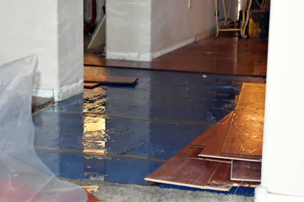 Professional Flood Cleanup technician working in Carlton, OR