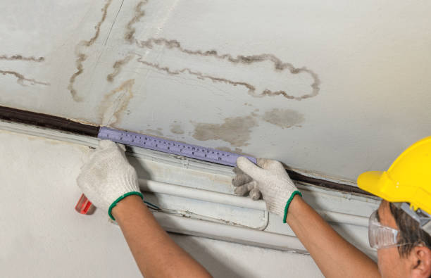 Reliable Flood Cleanup contractor in Carlton, OR by Water Damage Irwin
